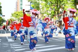 博多どんたく港まつり