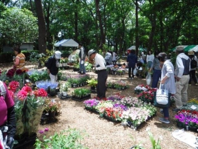 みどりまつり