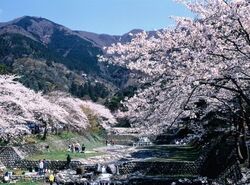 養老公園 花とみどりのまつり2026（養老町観光協会）