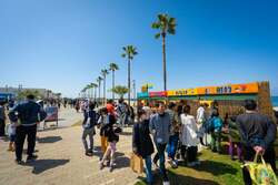 「入場無料！海辺の絶景イベントが大阪・泉南で開催　GWに200匹の鯉のぼりや縁日を満喫」の写真