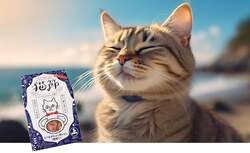 猫節で至福のひと時を・・・