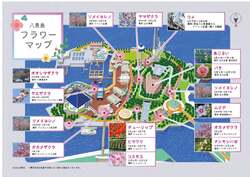 「バラに彩られたペンギンパレードに注目。入島無料の八景島シーパラダイスで春の花満喫」の写真