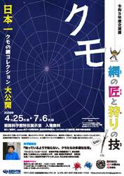 「クモの網標本や狩りの技を体験！入場無料の企画展が姫路科学館で　工作や読み聞かせも」の写真