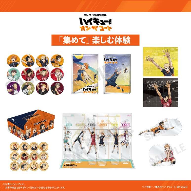 期間限定値下げ　ハイキュー　バレーボール ハイキュー!!』×『バレーボールネーションズリーグ』コラボ決定！選手