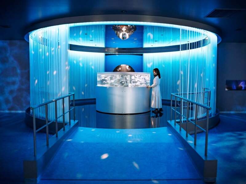 広島もとまち水族館