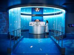 広島もとまち水族館