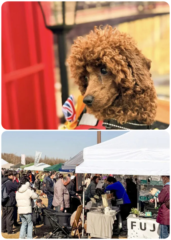 ロンドンドッグフェスタ in あけぼの山農業公園