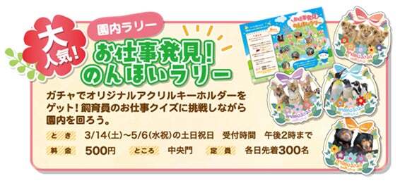 お仕事発見のんほいラリー
