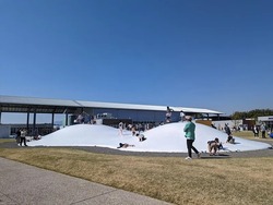 広大な芝生広場に設置されている「ふわふわドーム」