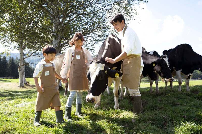 ファームエリアで育つ乳牛を間近で観察