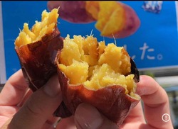 「熟成焼き芋×芋ブリュレ爆誕!?2日間限定の入場無料「芋フェス」が神すぎ」の写真