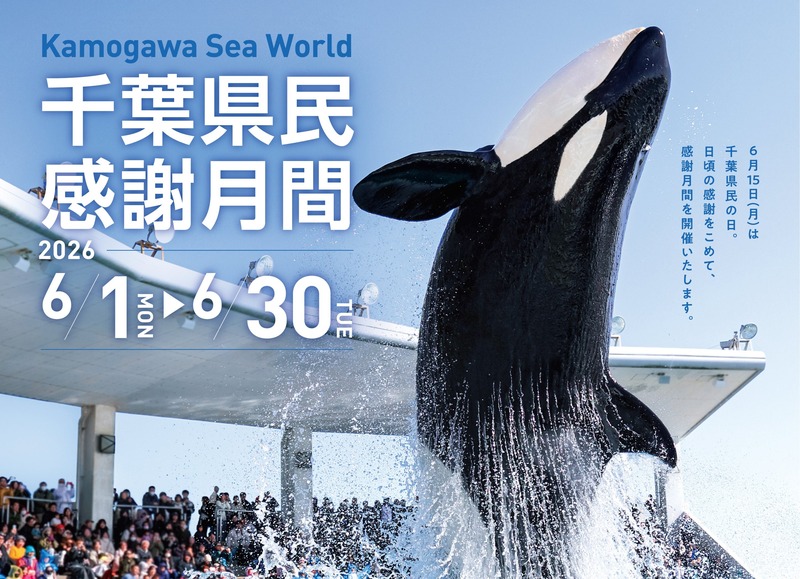 シャチのパフォーマンスが人気の鴨川シーワールド