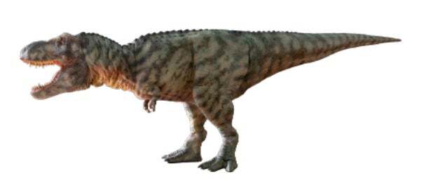 ティラノサウルス（全長8m）