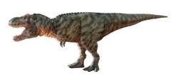ティラノサウルス（全長8m）