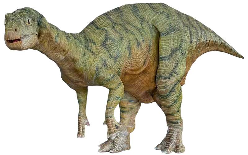 フクイサウルス（全長5.5m）
