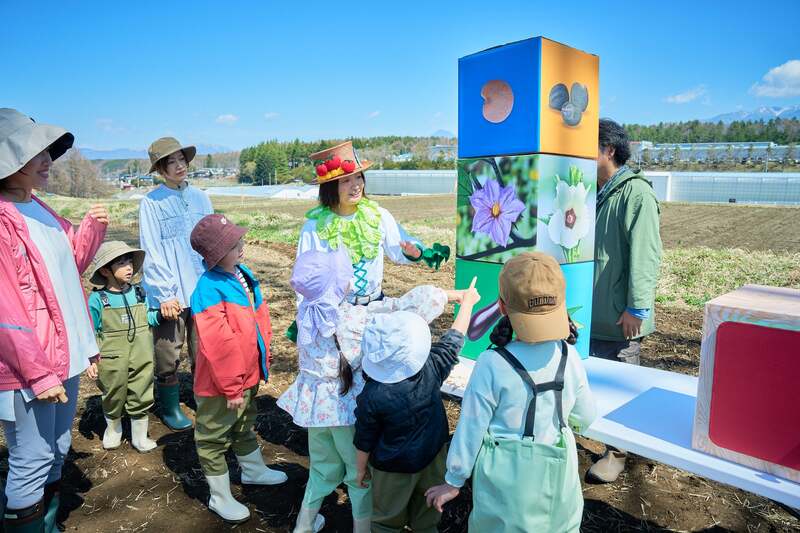絵合わせゲーム「タネのふしぎ」に挑戦