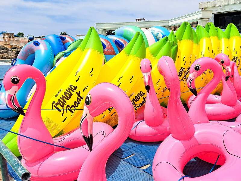 種類豊富な浮き輪のレンタル