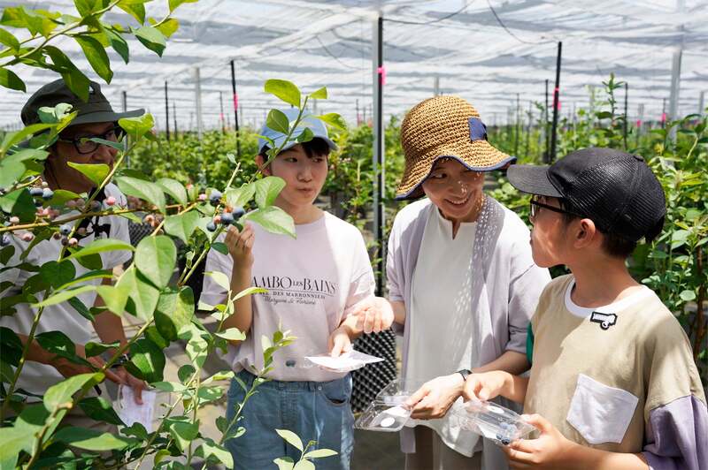 西武アグリパーク所沢「ブルーベリー収穫体験＆食べ放題」体験イメージ