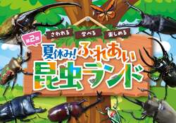 「前売券でお得！200匹のカブトムシと触れ合える昆虫展が名古屋・星ヶ丘三越で開催」の写真