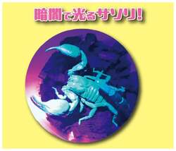 「前売券でお得！200匹のカブトムシと触れ合える昆虫展が名古屋・星ヶ丘三越で開催」の写真