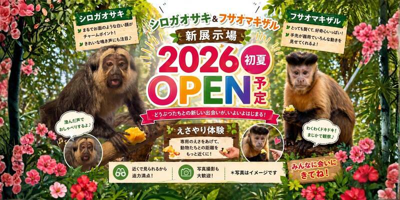 「モンキーテラス」イメージ