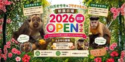 「モンキーテラス」イメージ