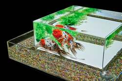「子供2名まで無料！名古屋・栄で「アートアクアリウム展2026」開催　金魚と光の涼空間」の写真