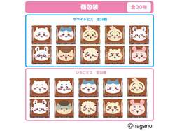 個装パッケージ 全20種類