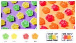リッチグミ（メロン/マンゴー）／リッチグミ（いちご/みかん）各360円