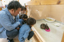 「子供無料＆大人割引！淡路ファームパーク　イングランドの丘でお得な割引チケット販売」の写真