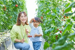 「子供無料＆大人割引！淡路ファームパーク　イングランドの丘でお得な割引チケット販売」の写真