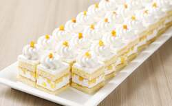 完熟マンゴーのショートケーキ