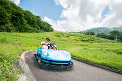 本格的カートで高原ドライブ「マウンテンゴーカート」