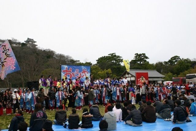 おどるんや初夏まつり2026（一般社団法人和歌山市観光協会）