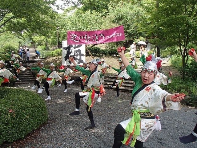 芝川日和 梅の里 稲子まつり（C）富士宮市