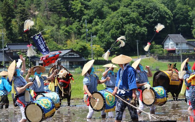 大土山田楽大花田植