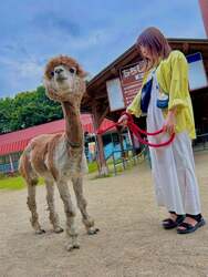「雨の日は入園無料！周年企画も多数！栃木・りんどう湖ファミリー牧場が6月お得づくし」の写真