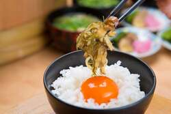 比内地鶏の卵かけご飯