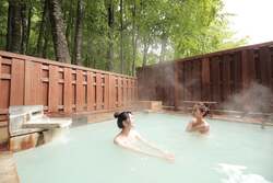 「売り子さんのユニフォームでババヘラ盛り付け体験！　休暇村乳頭温泉郷で夏限定プラン」の写真