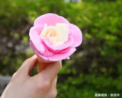 「売り子さんのユニフォームでババヘラ盛り付け体験！　休暇村乳頭温泉郷で夏限定プラン」の写真