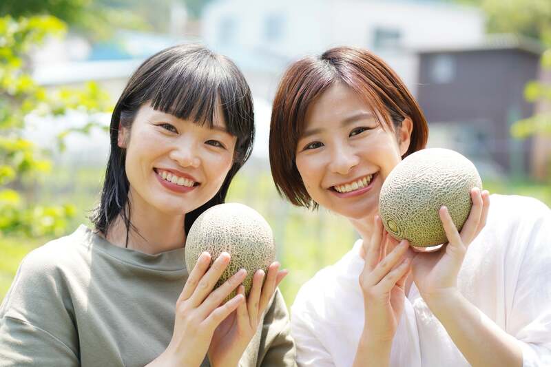 国産メロン5種を食べ比べ