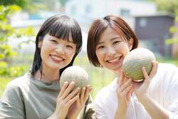 国産メロン5種を食べ比べ