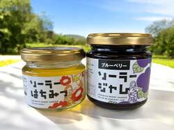自家製・非加熱生はちみつとブルーベリージャム