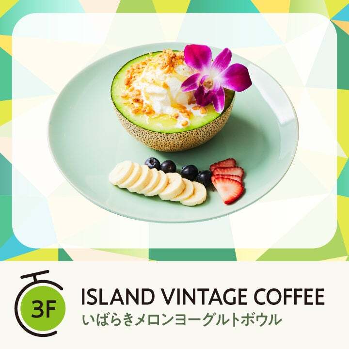 ISLAND VINTAGE COFFEE「いばらきメロン ヨーグルトボウル」（2,990円）