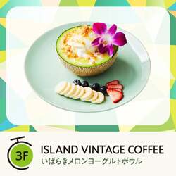 ISLAND VINTAGE COFFEE「いばらきメロン ヨーグルトボウル」（2,990円）
