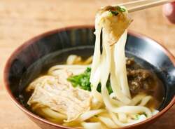 田中のかすうどん