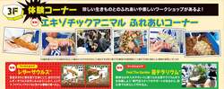 「東北最大級！珍しい爬虫類と触れ合える2日間　仙台でレプタイルズワールド開催！」の写真