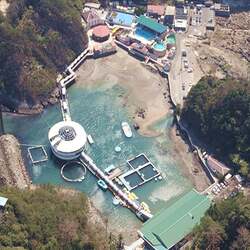 「ペンギンと記念撮影＆餌やり体験が再開！静岡・下田海中水族館でふれあいイベント復活」の写真