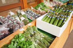 片品産の高原野菜
