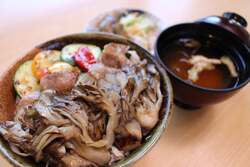 地元食材を使用したレストランメニューも豊富